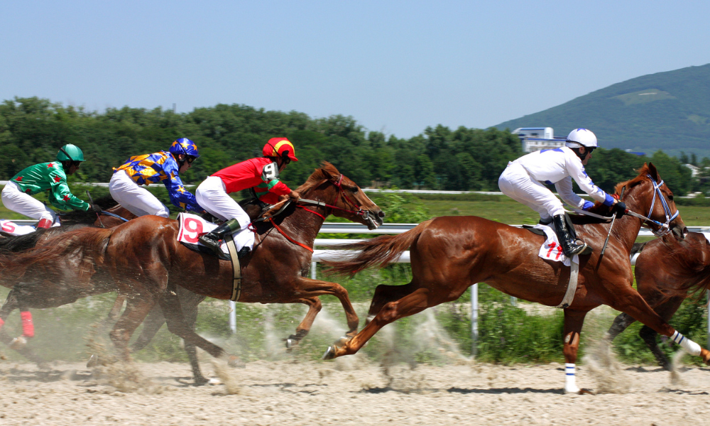 Horses racing 